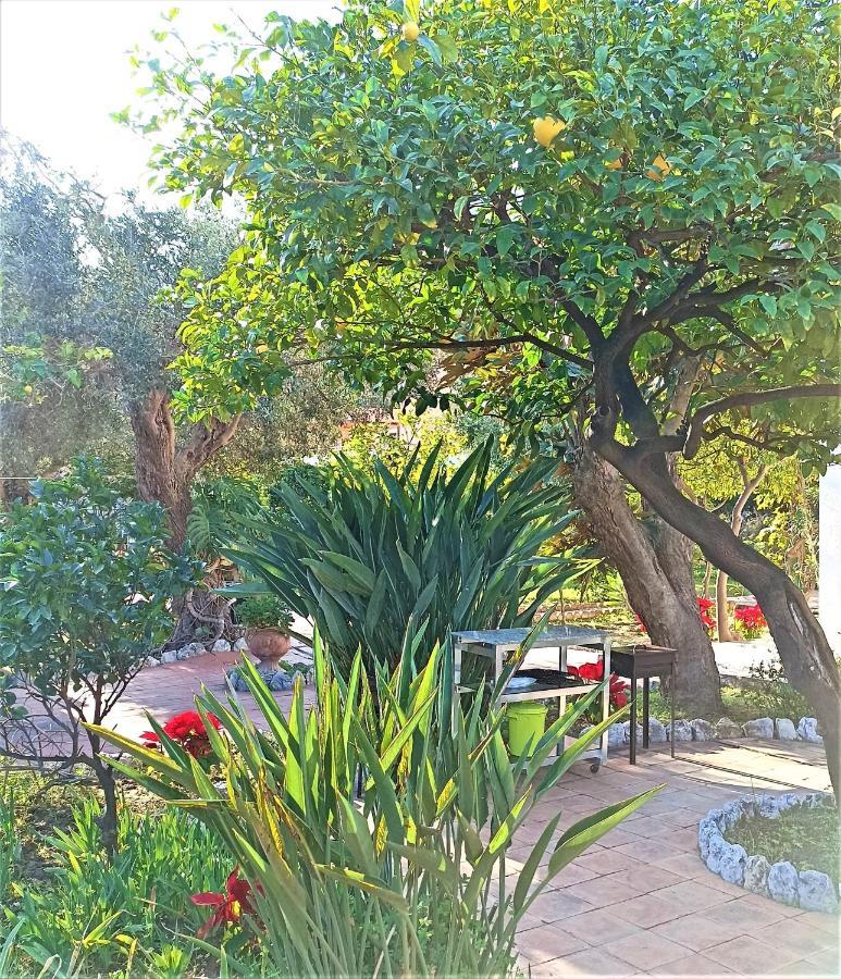 Seafront Apartments Garden House Taormina Kültér fotó